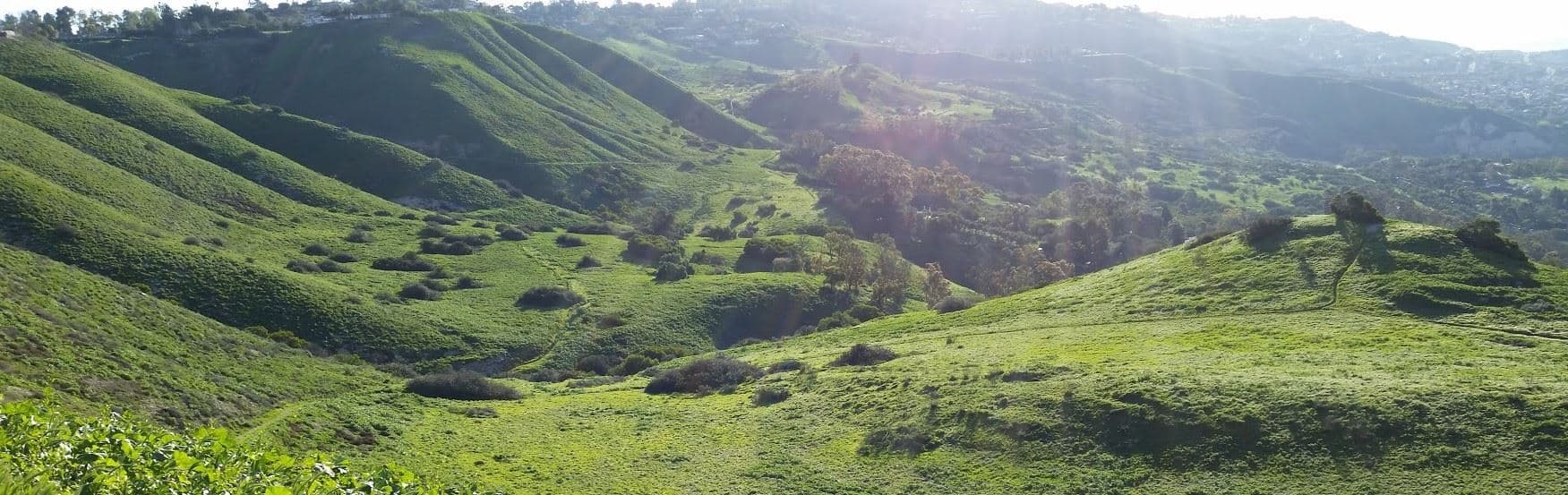 Filiorum Reserve