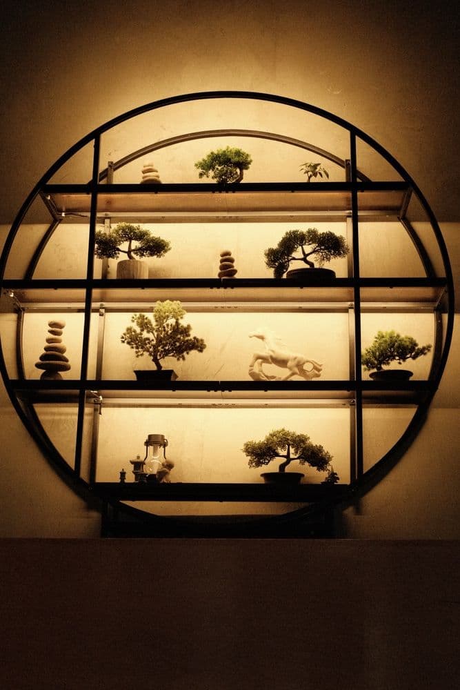 Bonsai Coffee & Bar