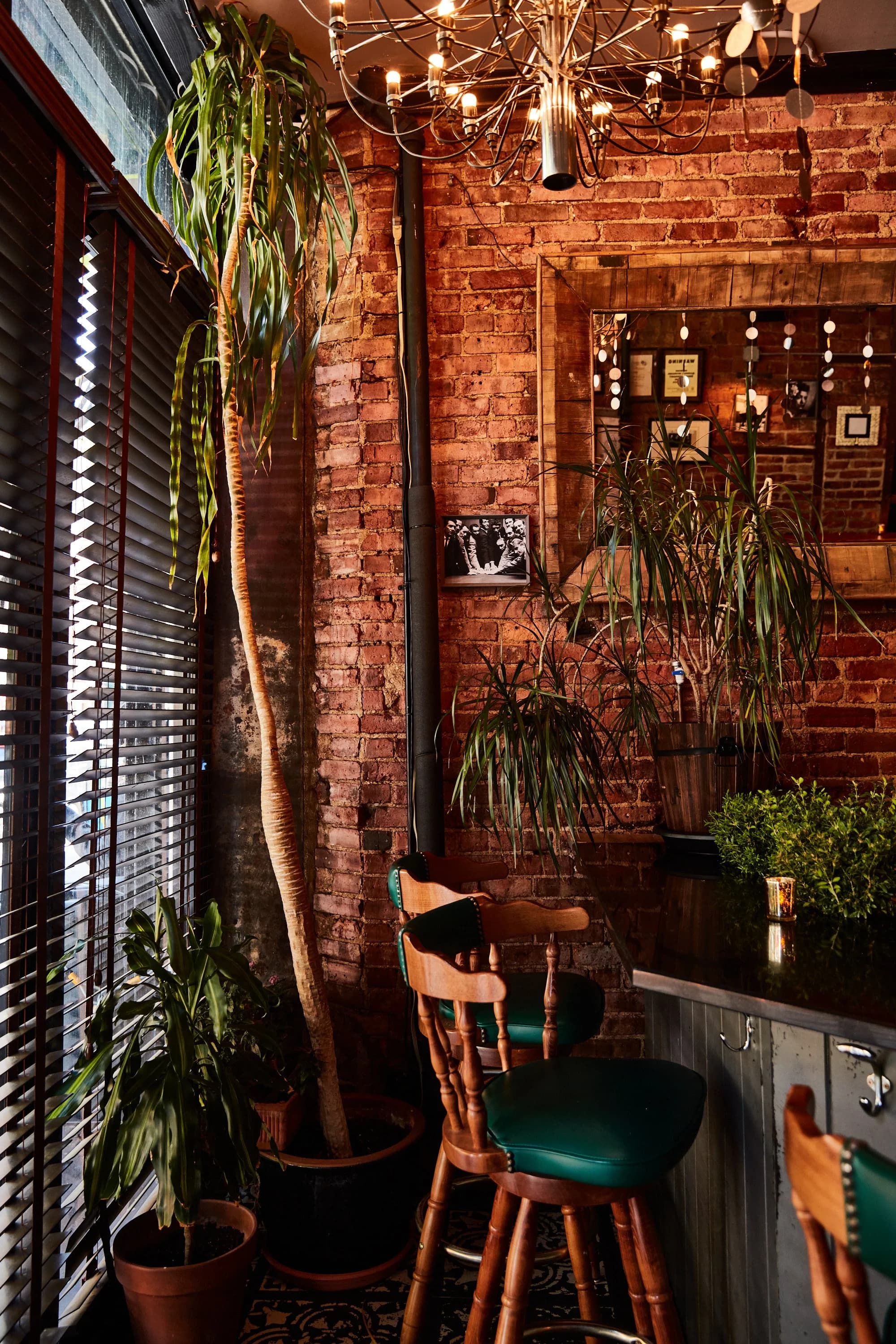 The Summit Bar
