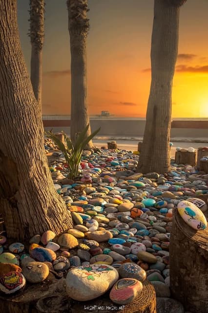 Oceanside Rock Garden