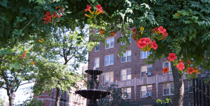 Jackson Square photo 2