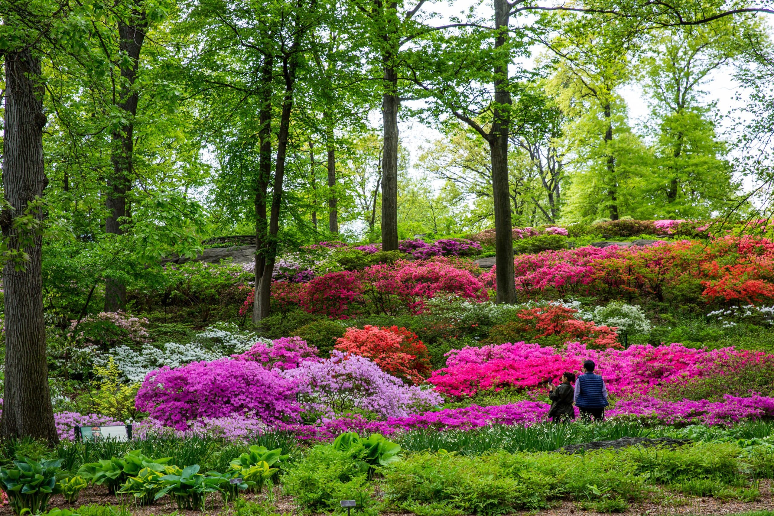 New York Botanical Garden