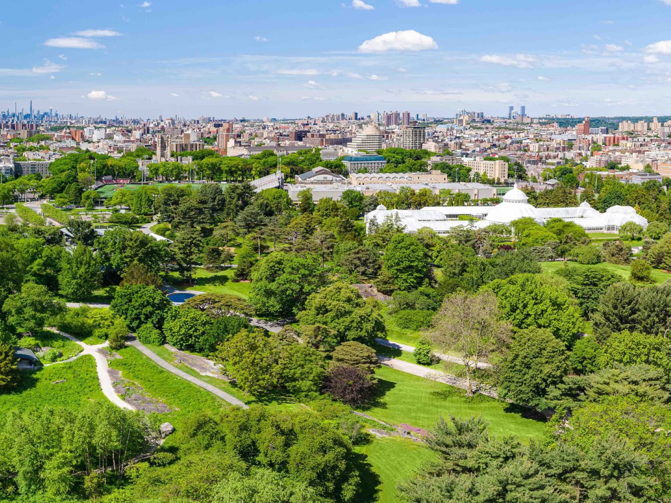 New York Botanical Garden photo 3