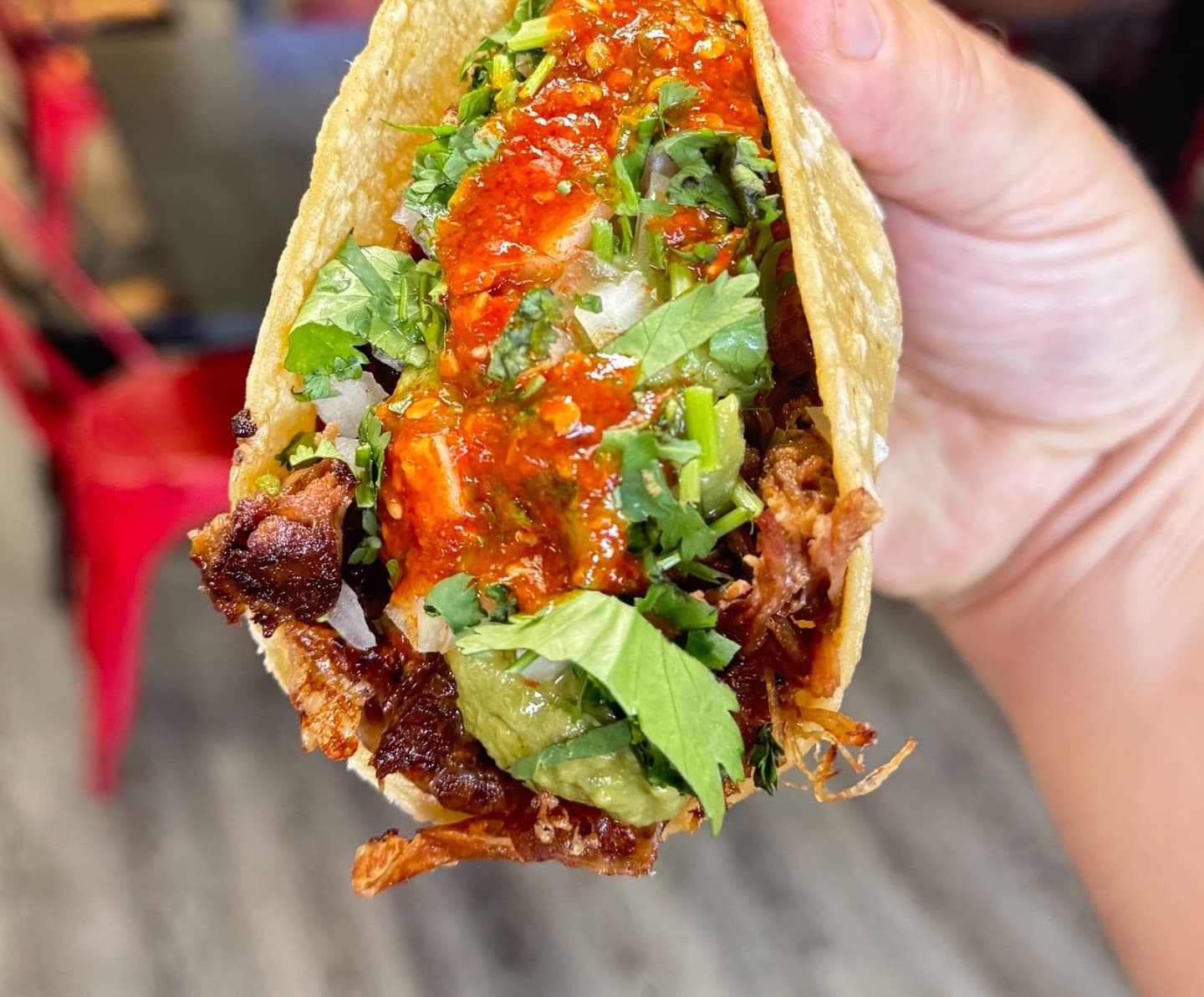 Tacaliente Mexican Grill