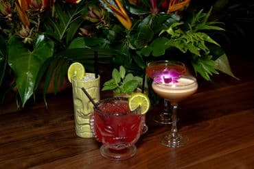 The Hula Hula Room photo 2