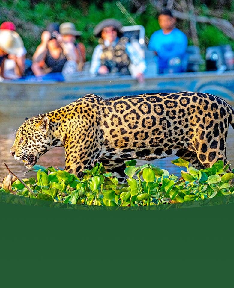 San Diego Zoo photo 5