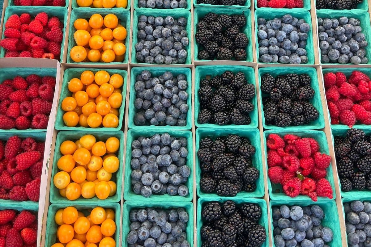 Hillcrest Farmers Market
