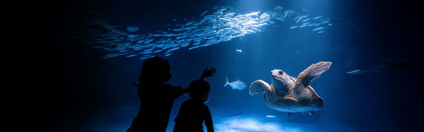 Birch Aquarium photo 4