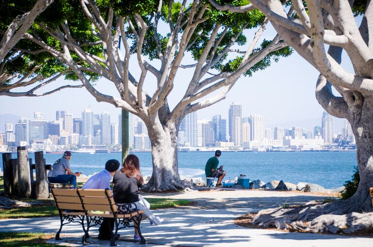 Harbor Island Park