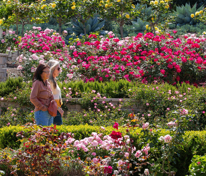 South Coast Botanic Garden