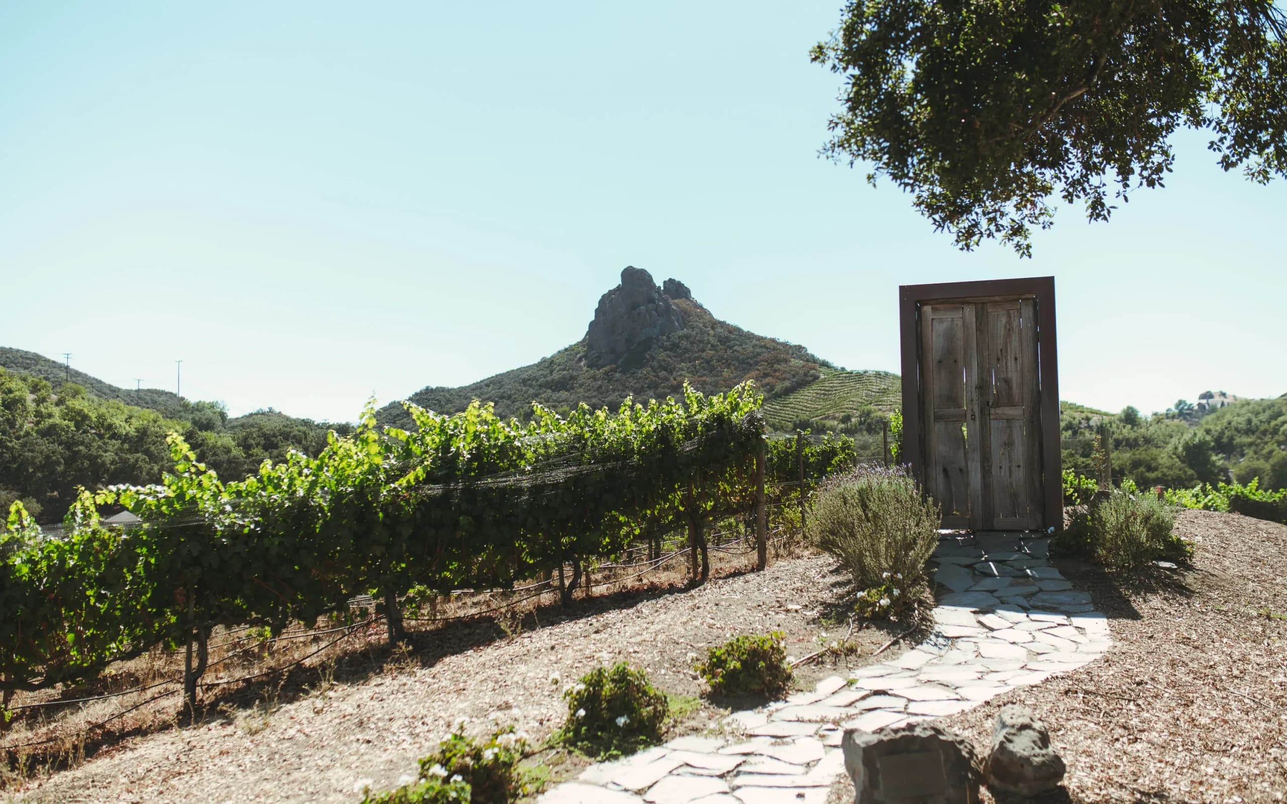 Malibu Wine Hikes