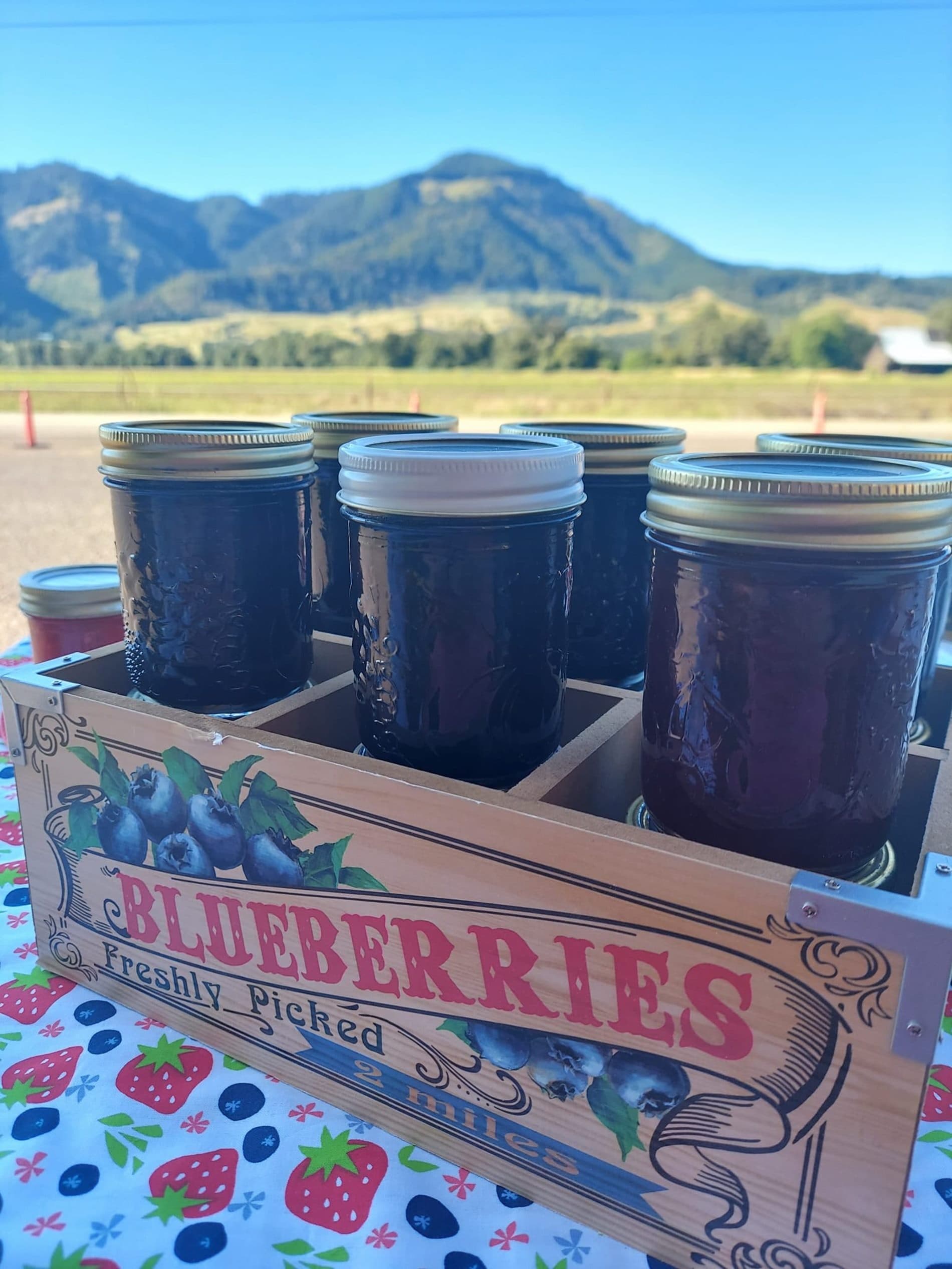 Melrose Farmers Market