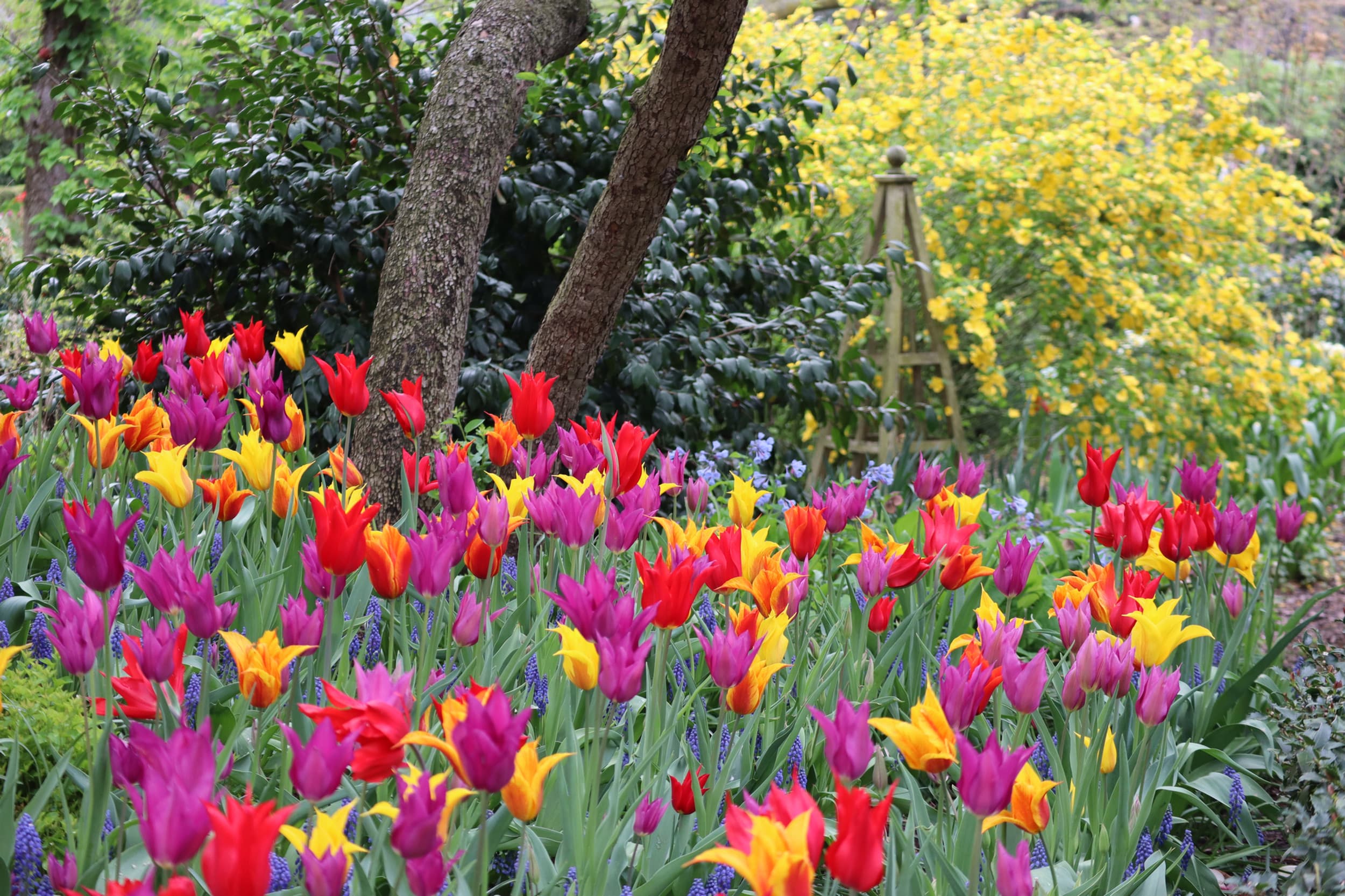 Jefferson Market Garden