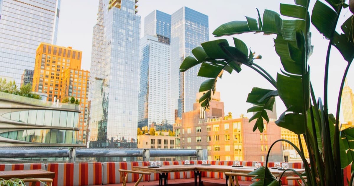Creature's Rooftop
