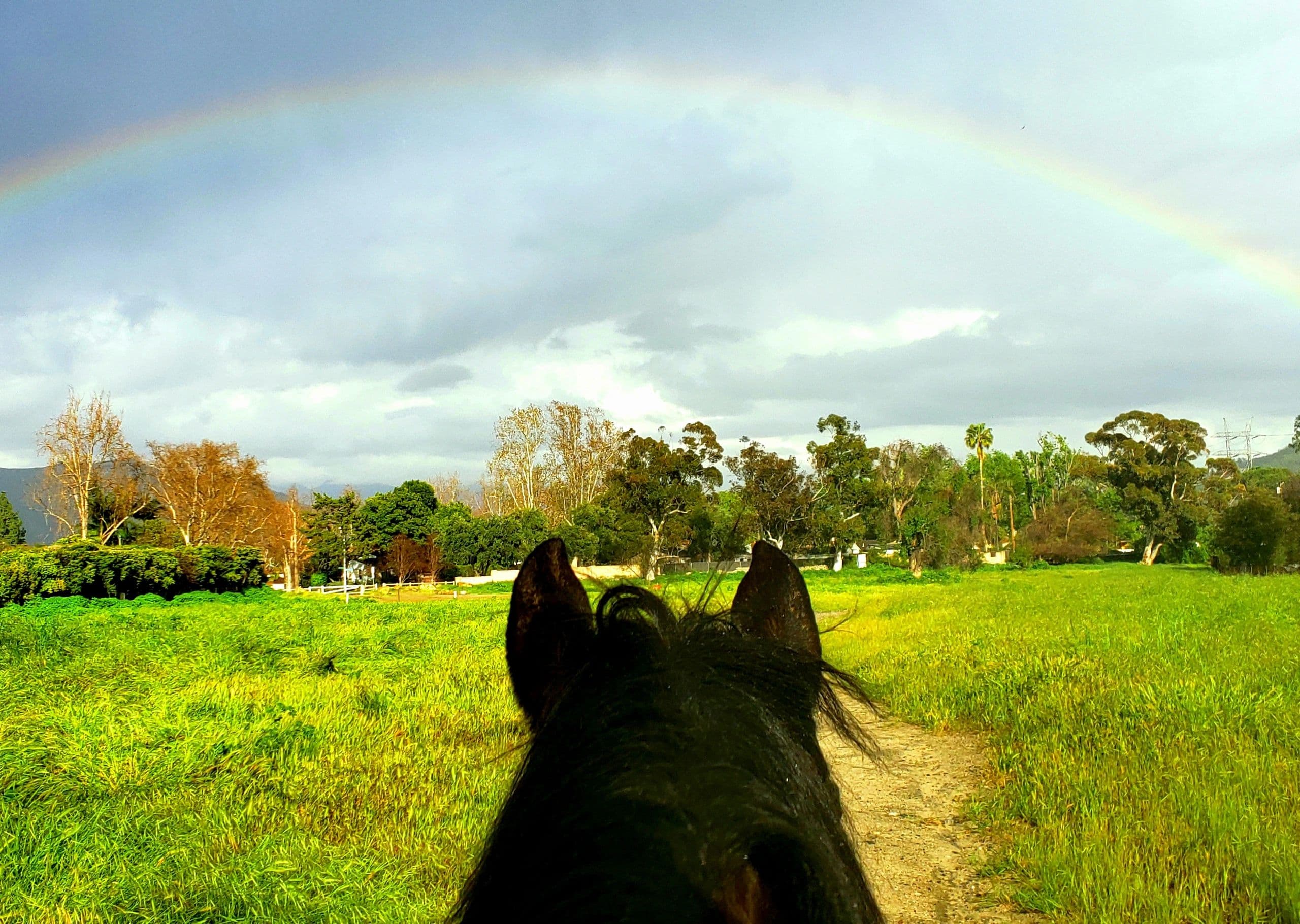 Good Pony Inc