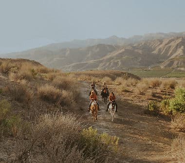LA Horse Rentals