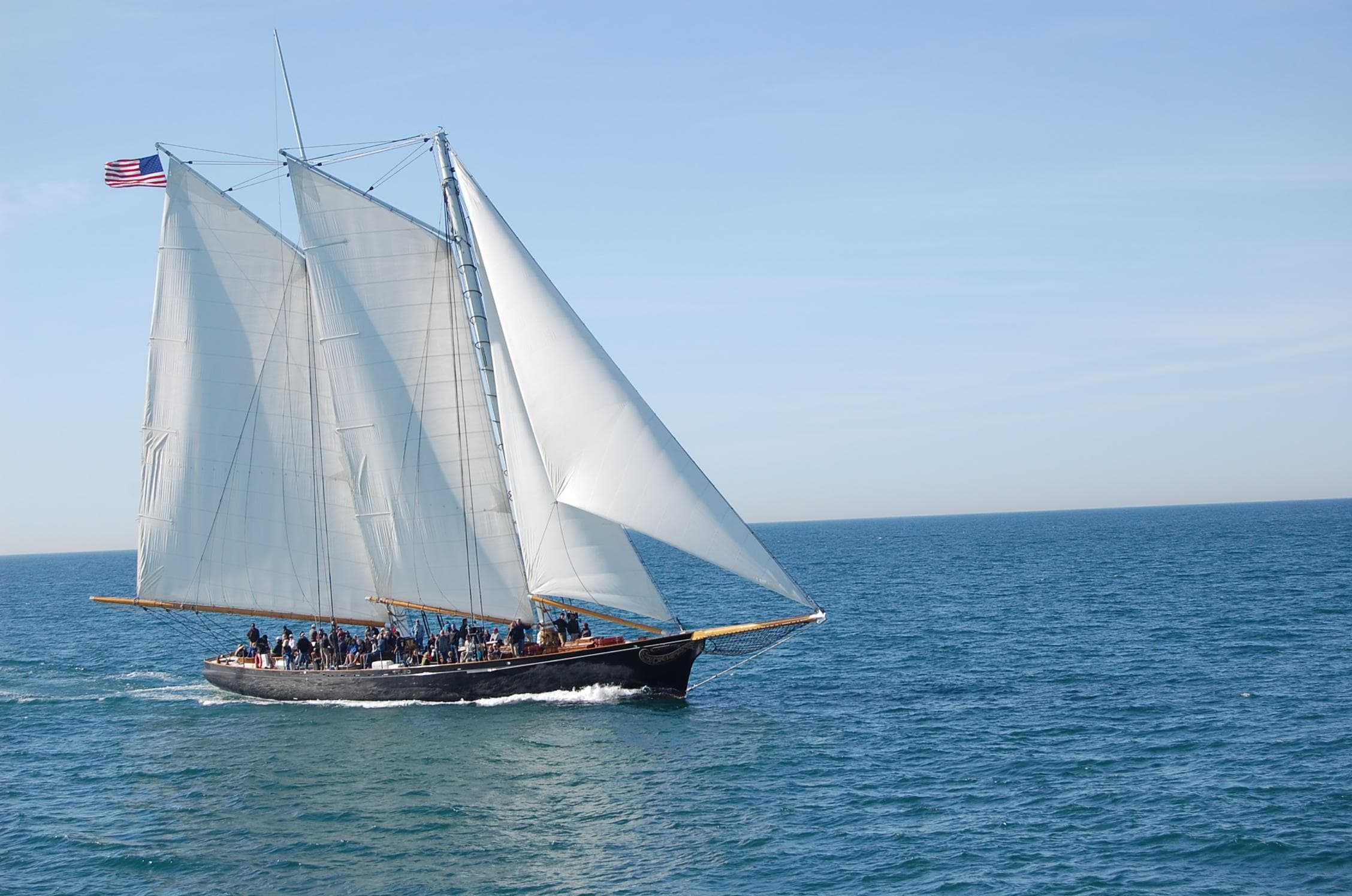 Next Level Sailing