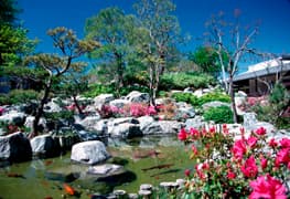 Pine Wind Japanese Garden