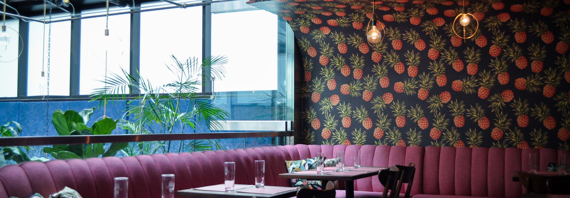 Pineapple Club