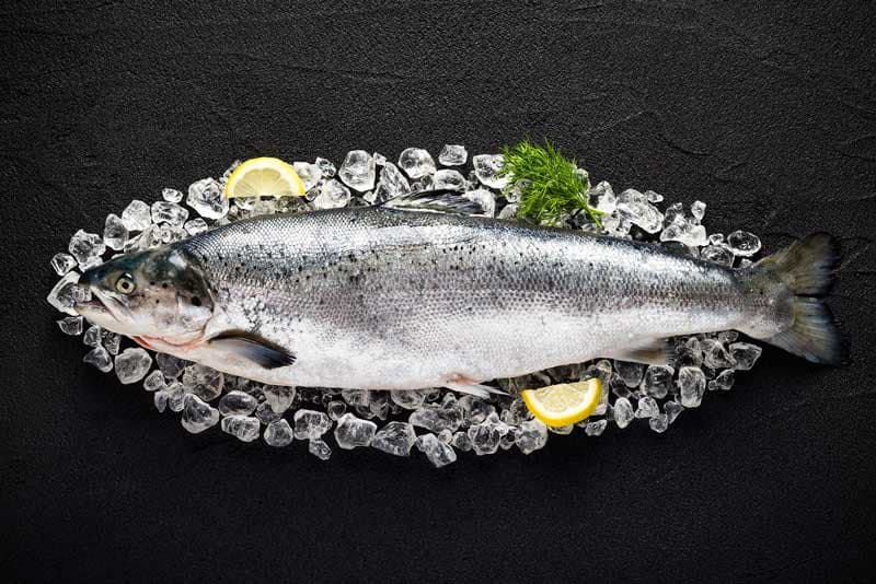 Roe Seafood - Restaurant