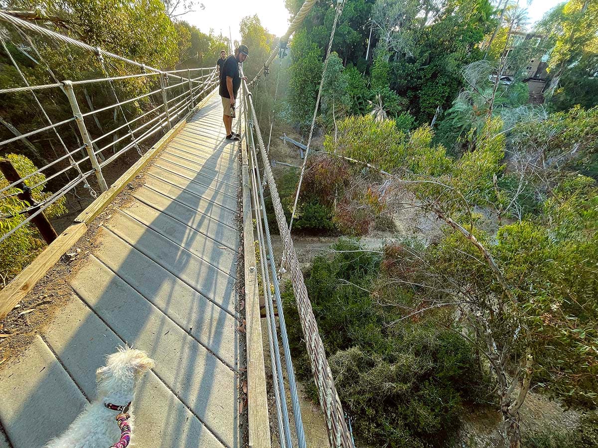 Spruce Street Suspension Bridge