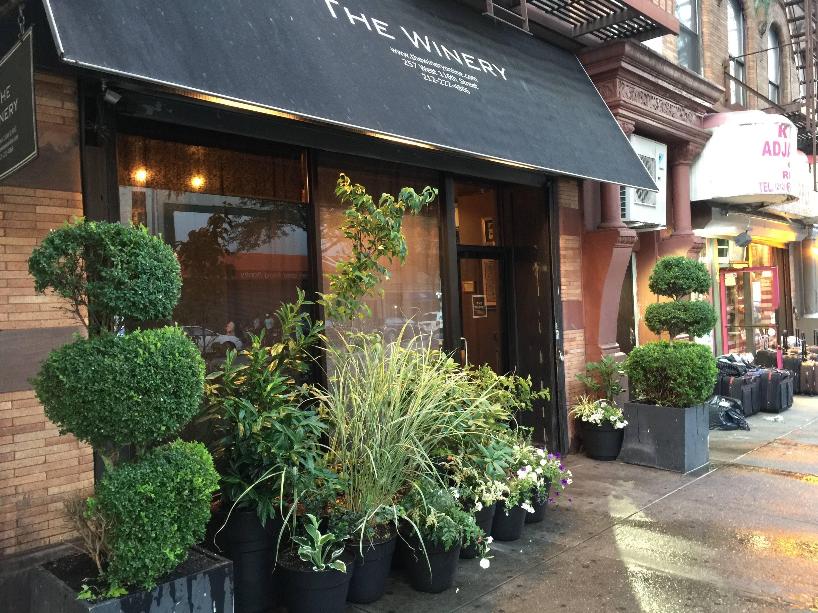 The Winery NYC🍷