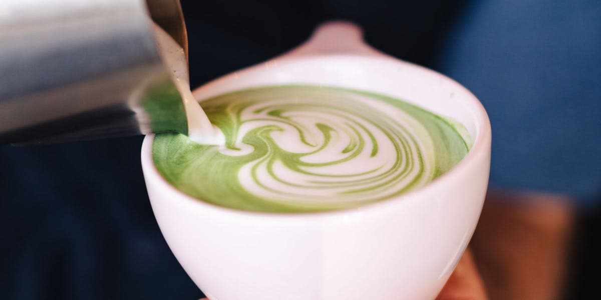 Parakeet Café