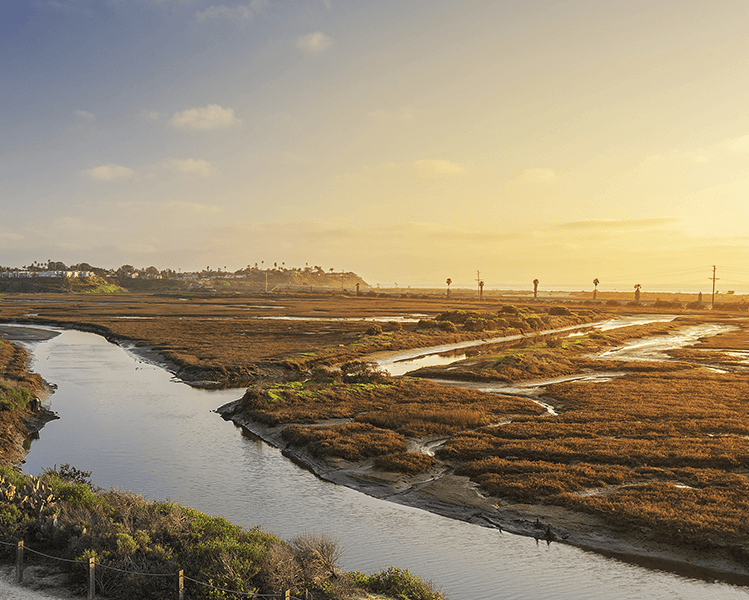 San Elijo Lagoon Ecological Reserve