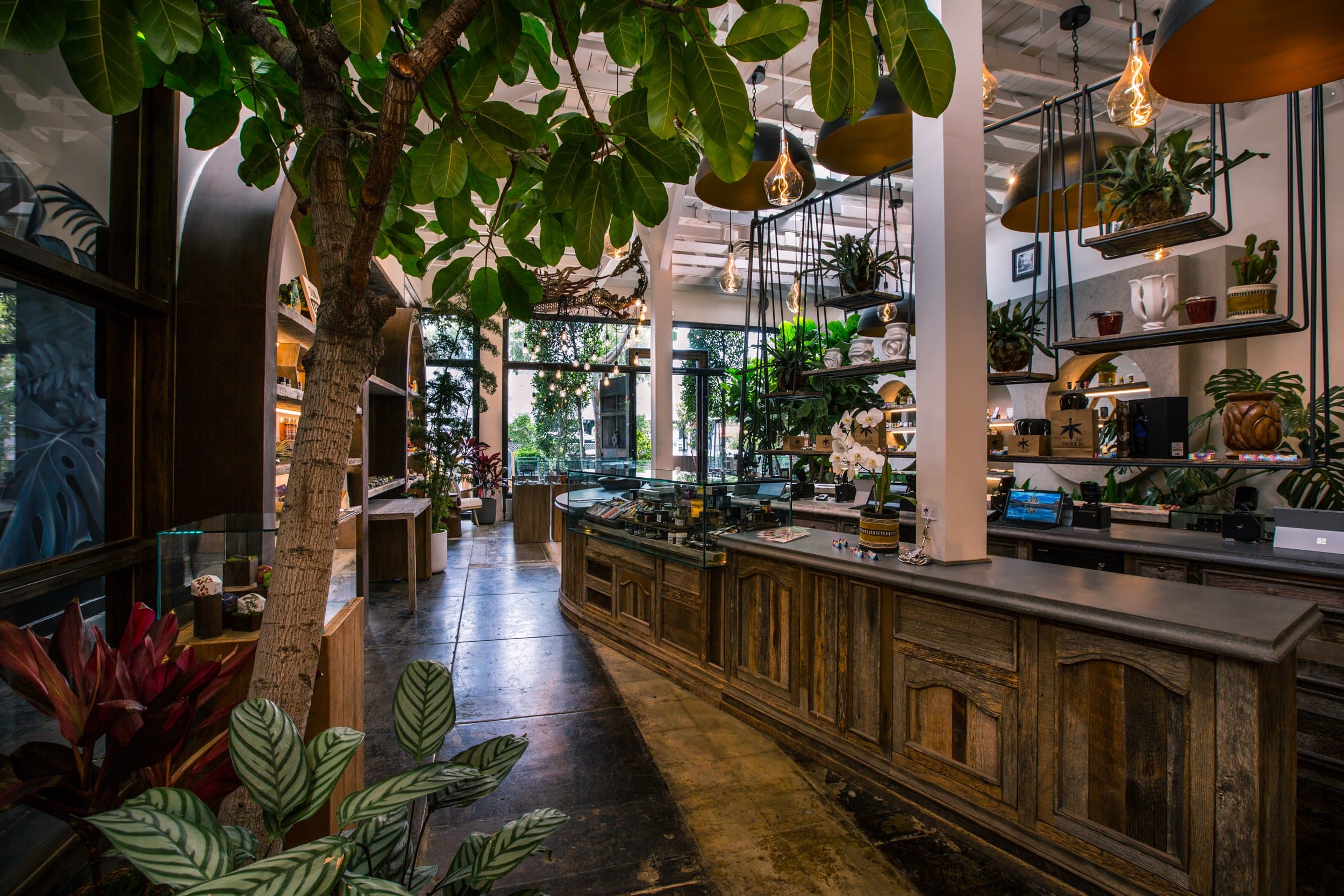 Café Woods