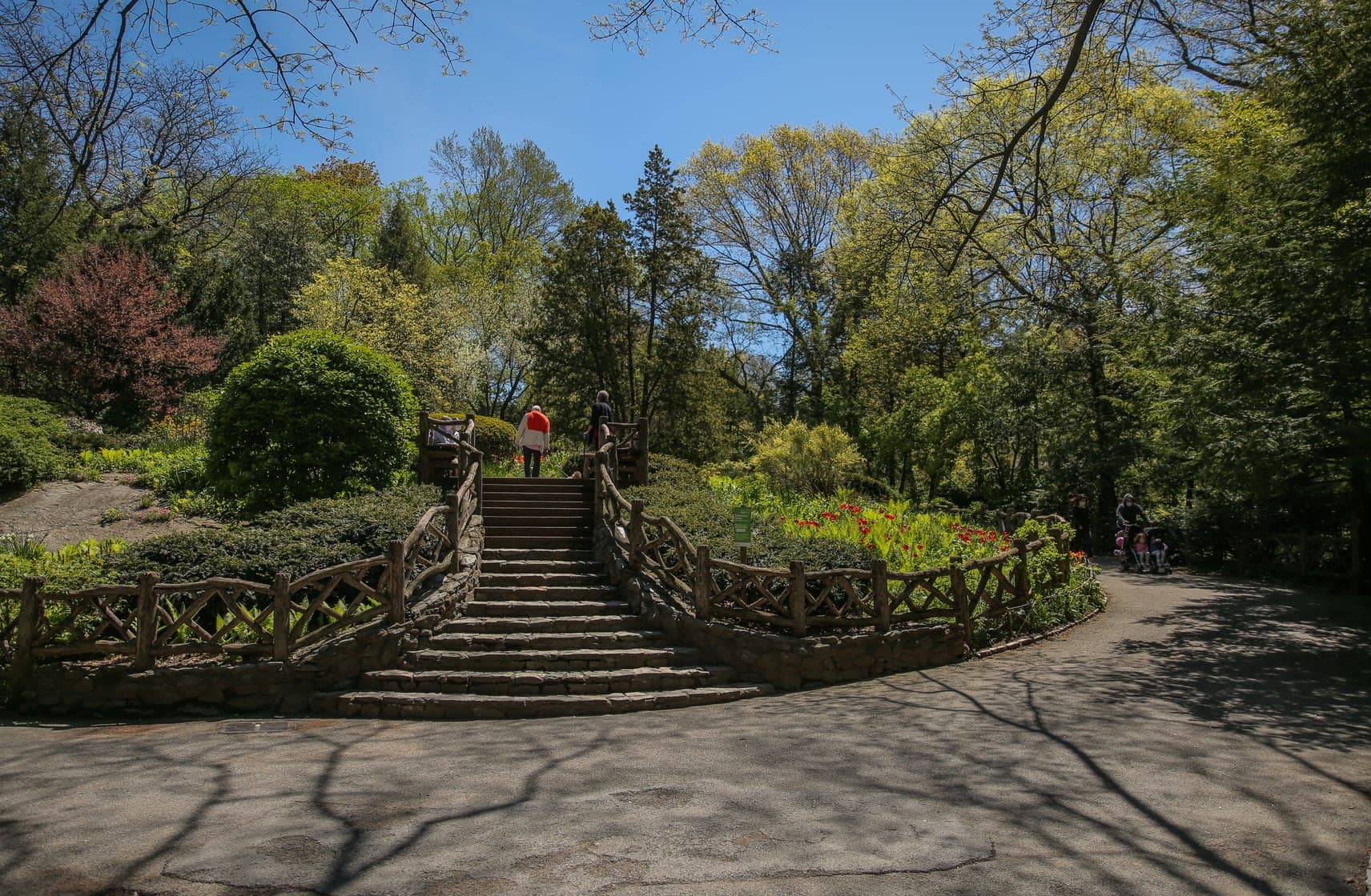 Central Park Bow Bridge
