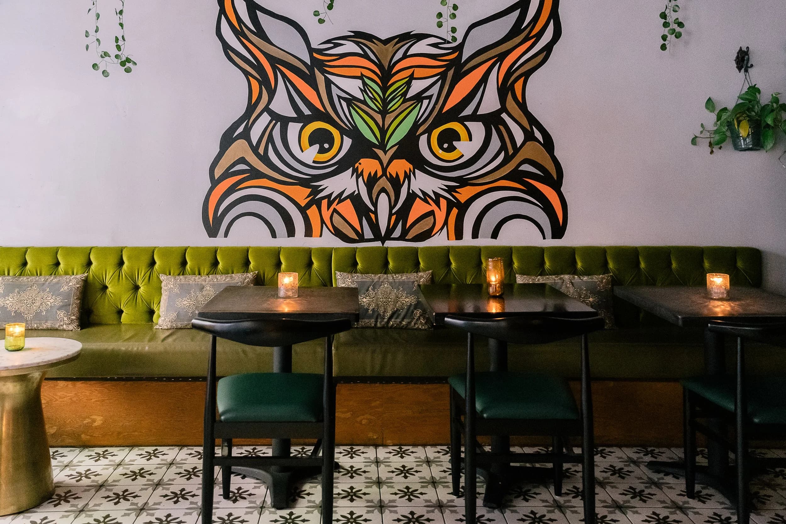 The Owl's Tail