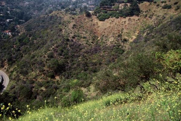 Trebek Open Space