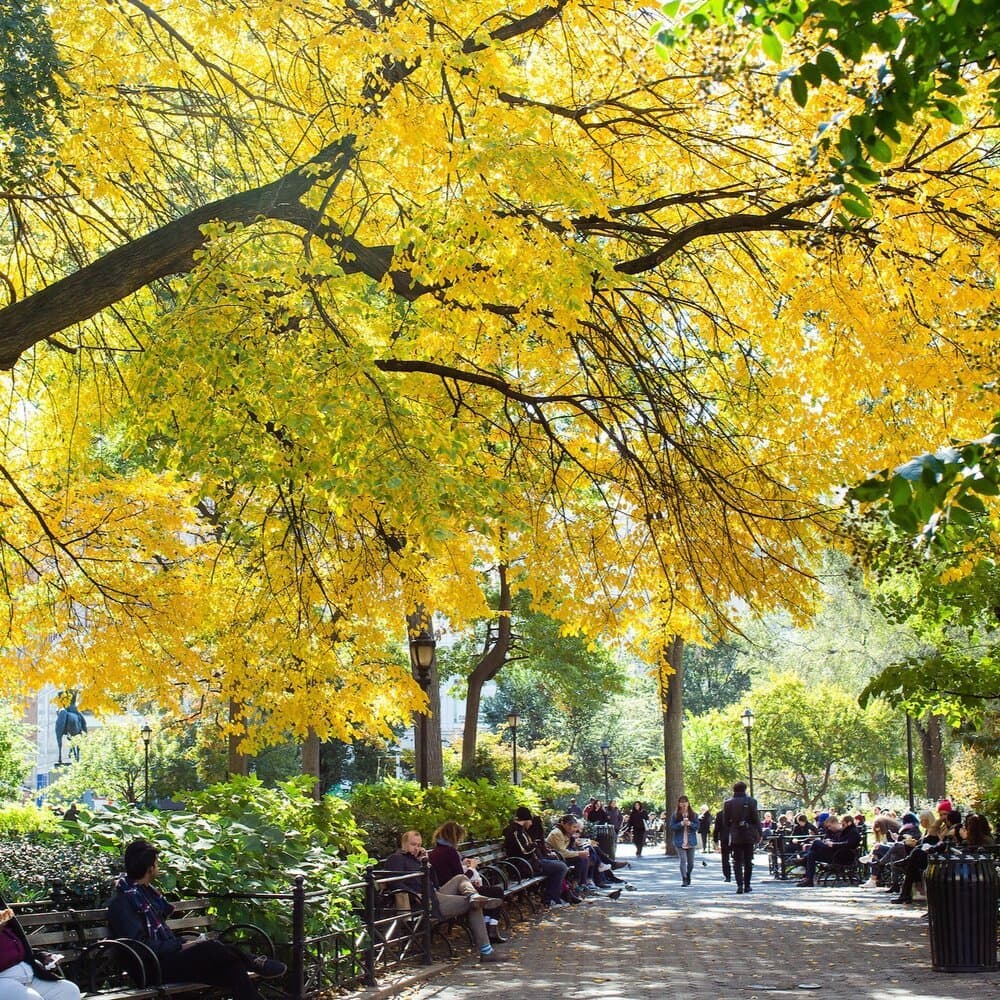Union Square Park