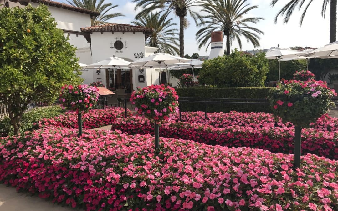 Spa at La Costa Resort