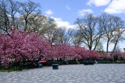 Maria Hernandez Park