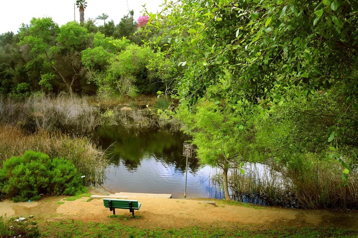 Double Peak Park