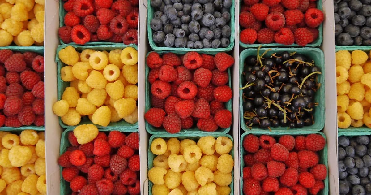 Santa Monica Farmers’ Market