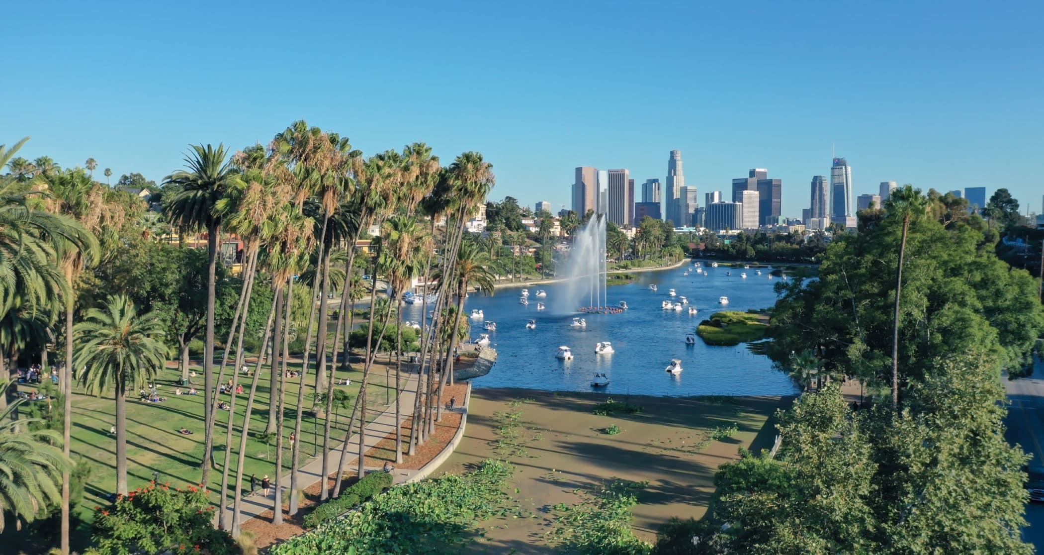 Swan Boats at Echo Park