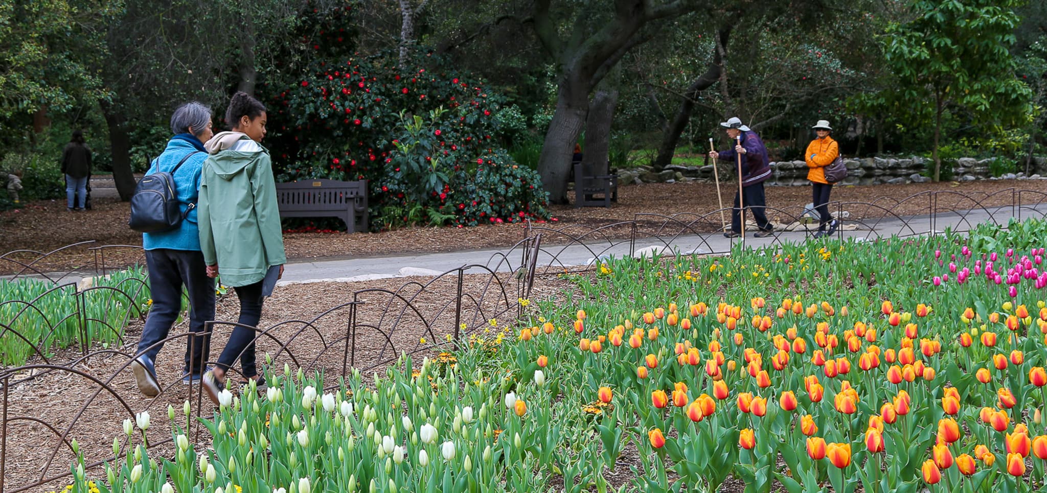 Descanso Gardens