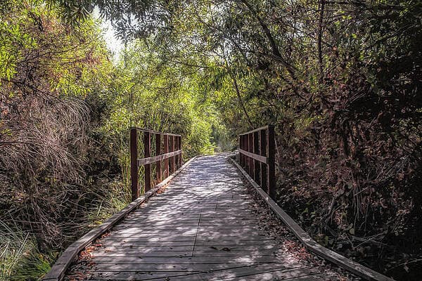 Lake Calavera Preserve